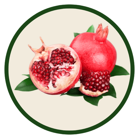 Sementes Frutíferas