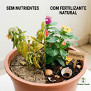 Fertilizante Natural Líquido