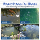 Aqua-Sentra Pro Formula- End AlgaeNightmares, Restore YourPond's Beauty Fast!