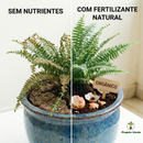 Fertilizante Natural Líquido