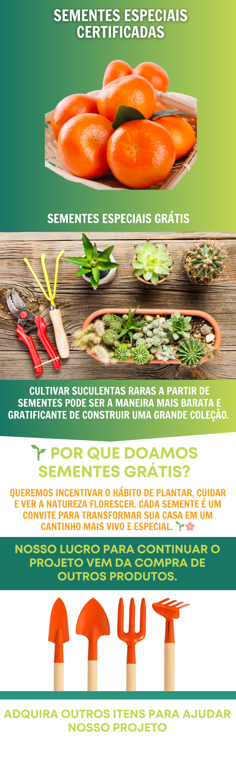 Bonsai Árvore Laranja 200 500 Sementes