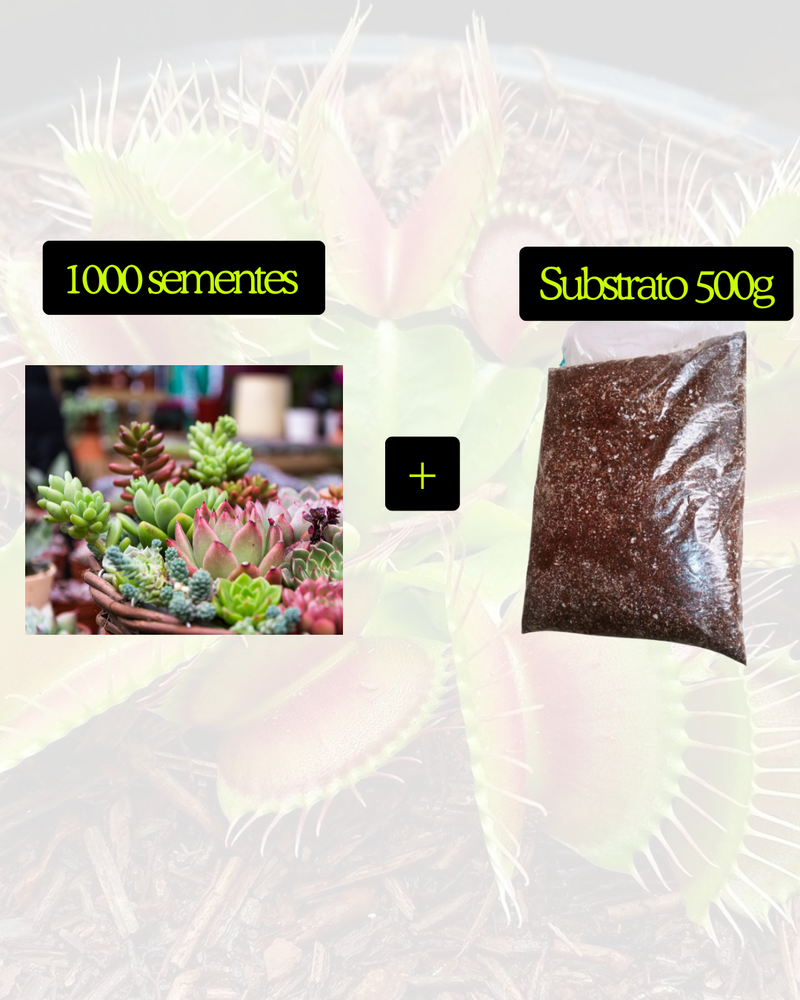 Sementes de suculentas - Kit completo com Substrato e Ferramentas